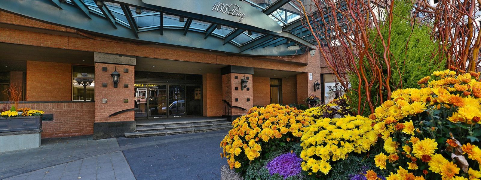 1166 Bay Street Suite 2003